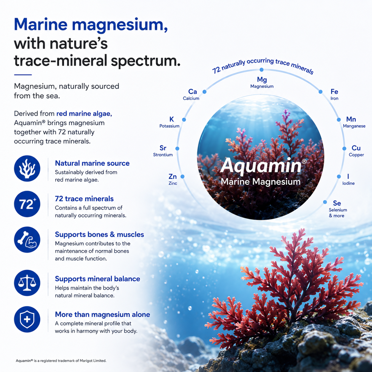 How to take Mag Absorb Pro